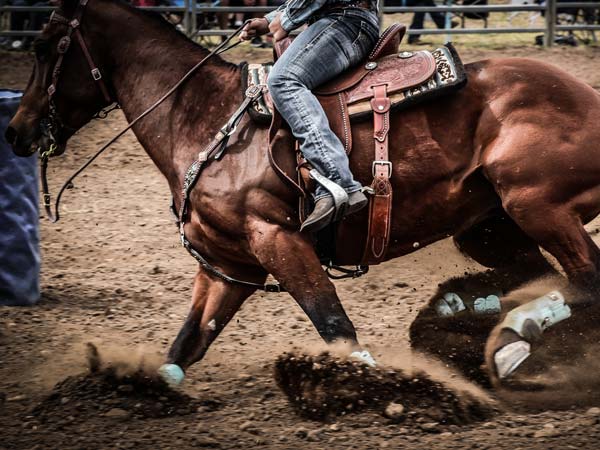 Someone riding a horse.